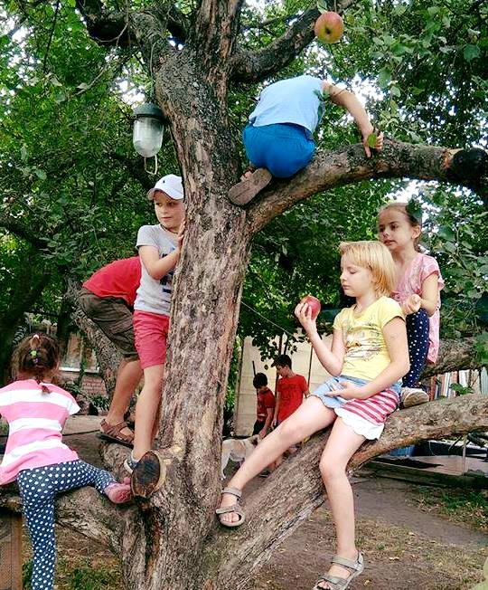 Діти на дереві
